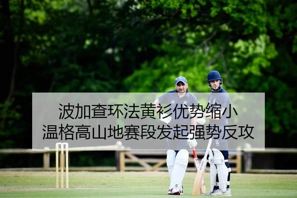 波加查环法黄衫优势缩小 温格高山地赛段发起强势反攻